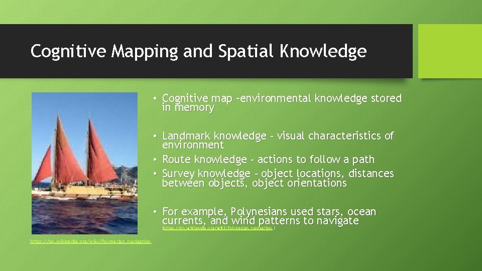 Cognitive Mapping and Spatial Knowledge • Cognitive map –environmental knowledge stored in memory •