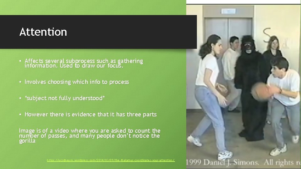 Attention • Affects several subprocess such as gathering information. Used to draw our focus.