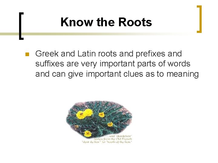 Know the Roots n Greek and Latin roots and prefixes and suffixes are very