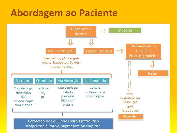 Abordagem ao Paciente 