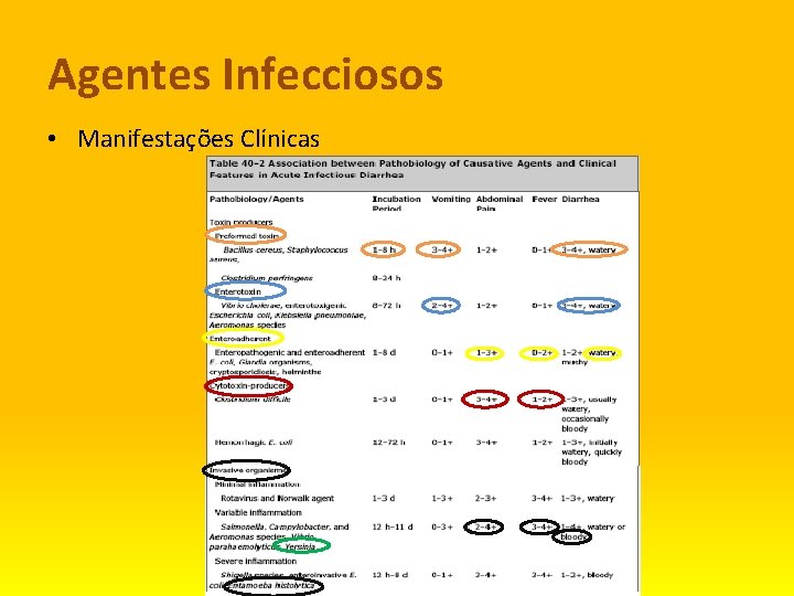 Agentes Infecciosos • Manifestações Clínicas 