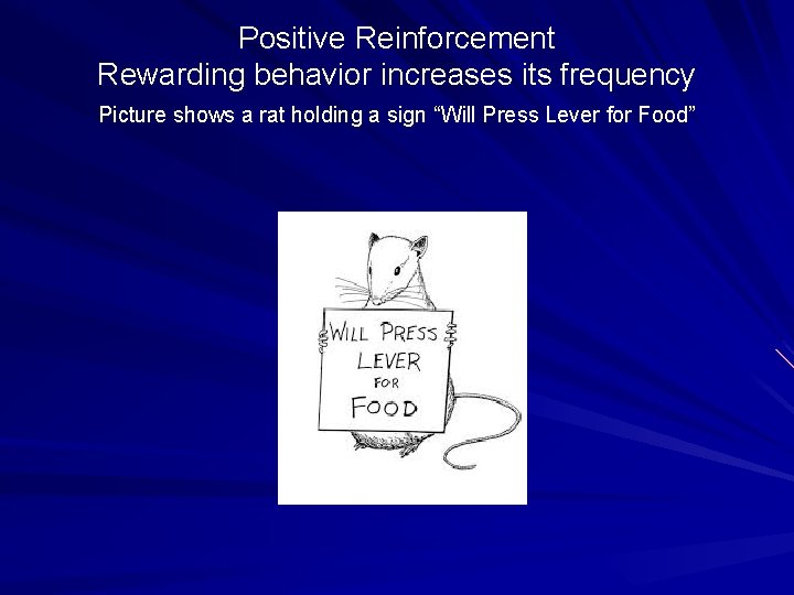 Positive Reinforcement Rewarding behavior increases its frequency Picture shows a rat holding a sign