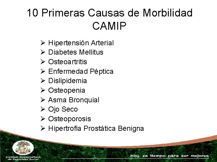 10 Primeras Causas de Morbilidad CAMIP Ø Ø Ø Ø Ø Hipertensión Arterial Diabetes