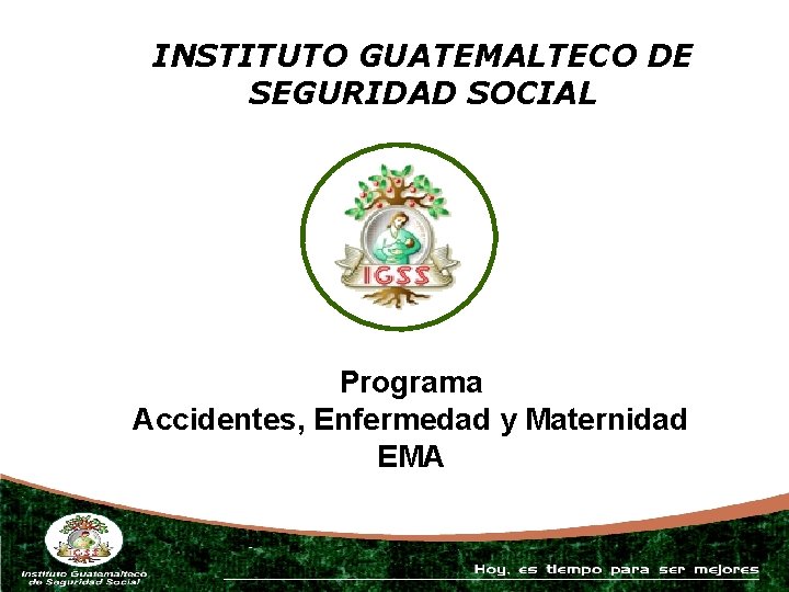 INSTITUTO GUATEMALTECO DE SEGURIDAD SOCIAL Programa Accidentes, Enfermedad y Maternidad EMA 