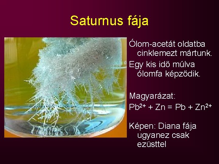 Saturnus fája Ólom-acetát oldatba cinklemezt mártunk. Egy kis idő múlva ólomfa képződik. Magyarázat: Pb