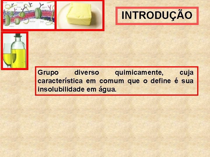 INTRODUÇÃO Grupo diverso quimicamente, cuja característica em comum que o define é sua insolubilidade