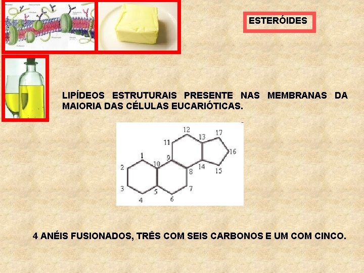 ESTERÓIDES LIPÍDEOS ESTRUTURAIS PRESENTE NAS MEMBRANAS DA MAIORIA DAS CÉLULAS EUCARIÓTICAS. 4 ANÉIS FUSIONADOS,