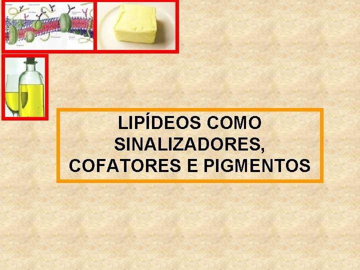 LIPÍDEOS COMO SINALIZADORES, COFATORES E PIGMENTOS 