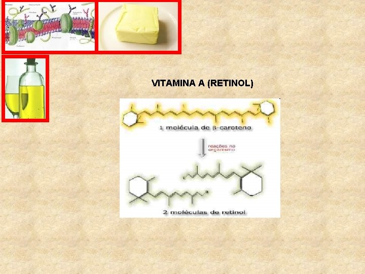 VITAMINA A (RETINOL) 