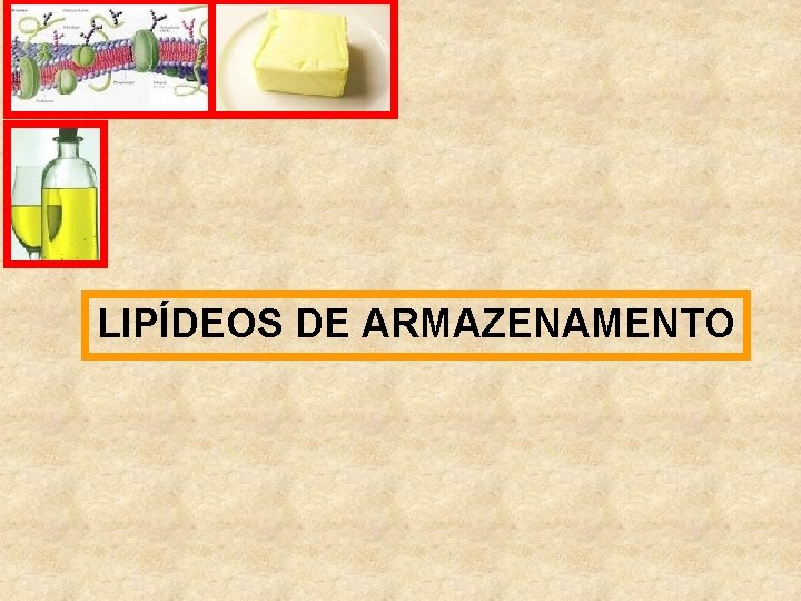 LIPÍDEOS DE ARMAZENAMENTO 