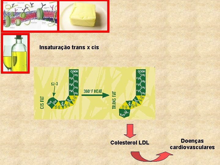 Insaturação trans x cis Colesterol LDL Doenças cardiovasculares 