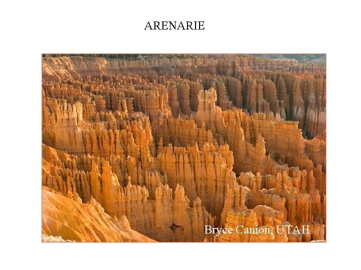 ARENARIE Bryce Canion, UTAH 