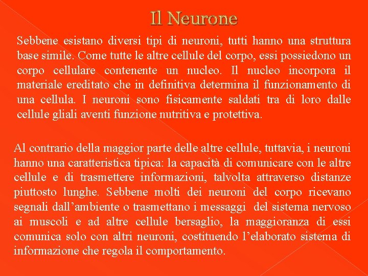 Il Neurone Sebbene esistano diversi tipi di neuroni, tutti hanno una struttura base simile.