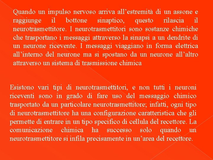 Quando un impulso nervoso arriva all’estremità di un assone e raggiunge il bottone sinaptico,