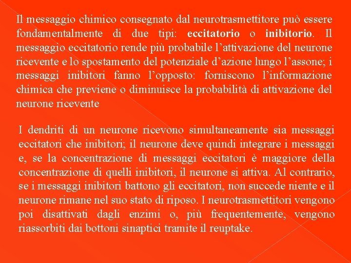 Il messaggio chimico consegnato dal neurotrasmettitore può essere fondamentalmente di due tipi: eccitatorio o