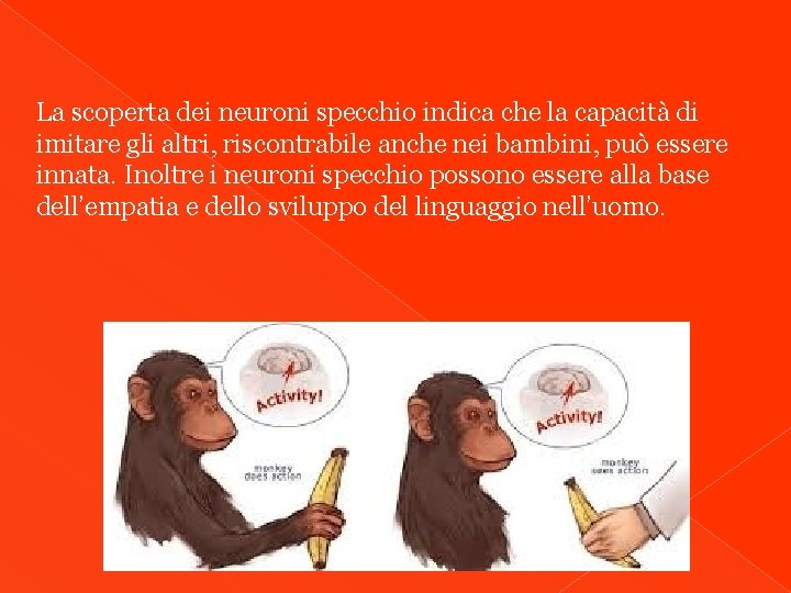 La scoperta dei neuroni specchio indica che la capacità di imitare gli altri, riscontrabile