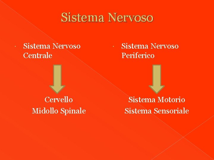 Sistema Nervoso Centrale Cervello Midollo Spinale Sistema Nervoso Periferico Sistema Motorio Sistema Sensoriale 