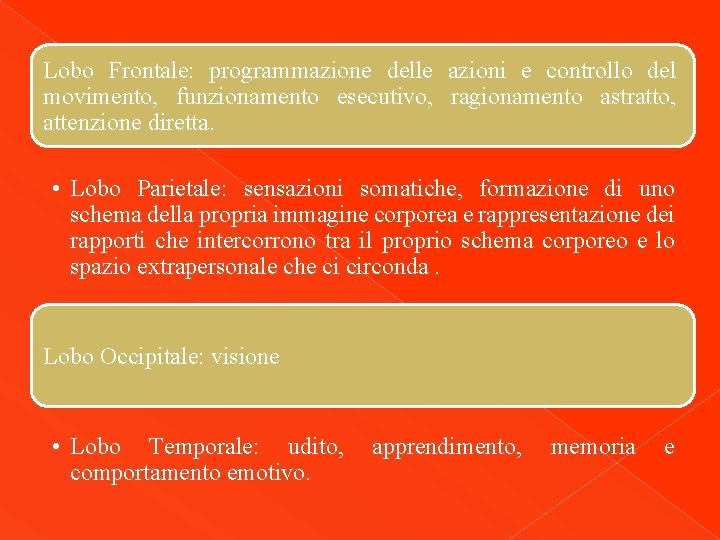 Lobo Frontale: programmazione delle azioni e controllo del movimento, funzionamento esecutivo, ragionamento astratto, attenzione