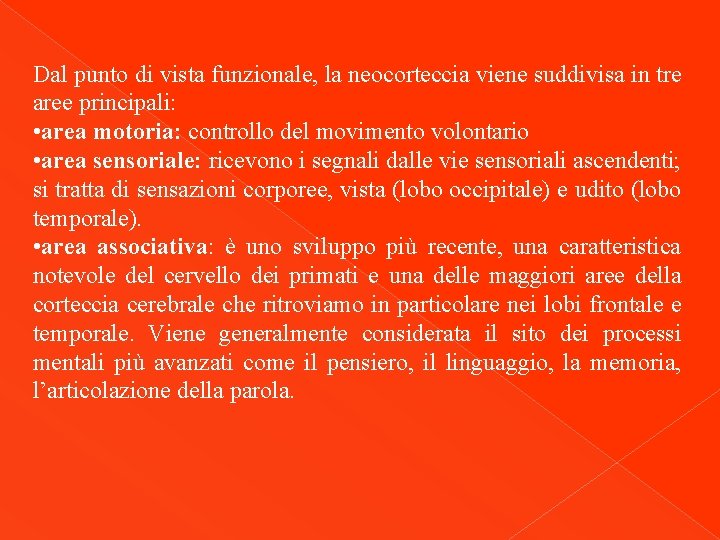 Dal punto di vista funzionale, la neocorteccia viene suddivisa in tre aree principali: •