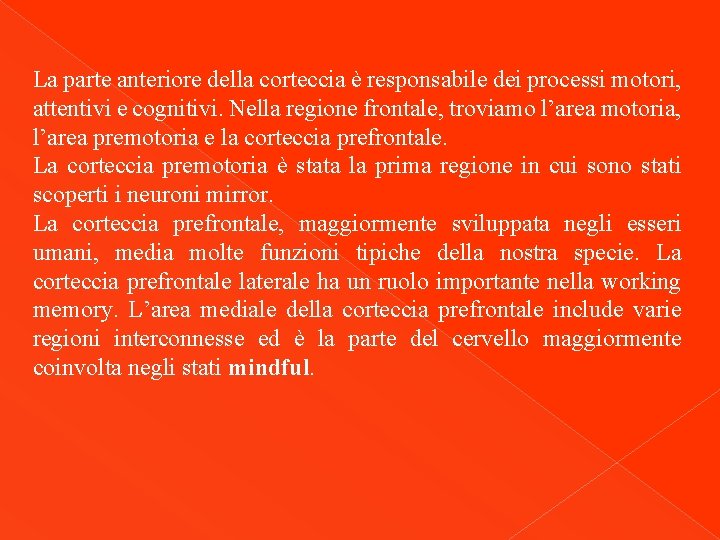 La parte anteriore della corteccia è responsabile dei processi motori, attentivi e cognitivi. Nella