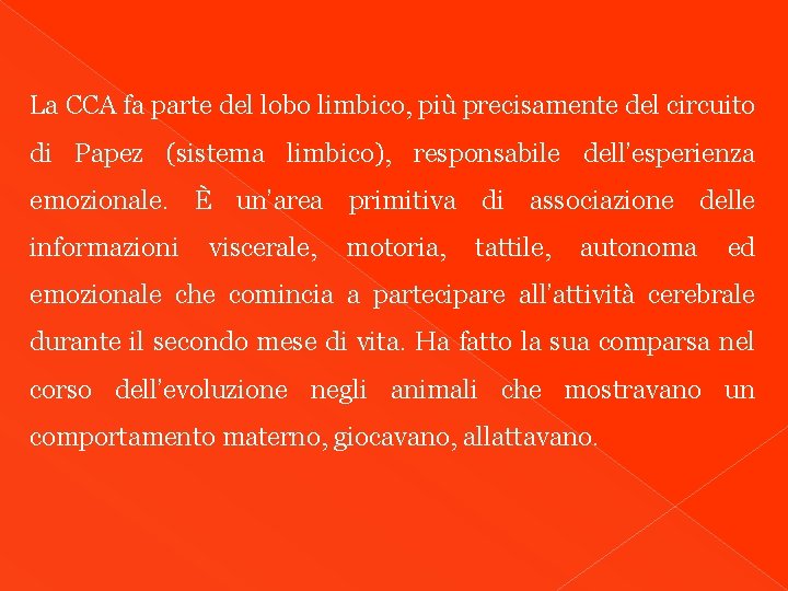 La CCA fa parte del lobo limbico, più precisamente del circuito di Papez (sistema