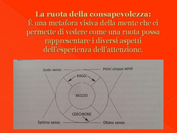 La ruota della consapevolezza: È una metafora visiva della mente che ci permette di