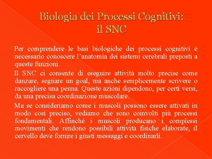 Biologia dei Processi Cognitivi: il SNC Per comprendere le basi biologiche dei processi cognitivi