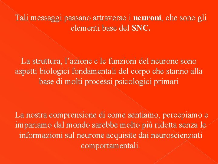 Tali messaggi passano attraverso i neuroni, che sono gli elementi base del SNC. La