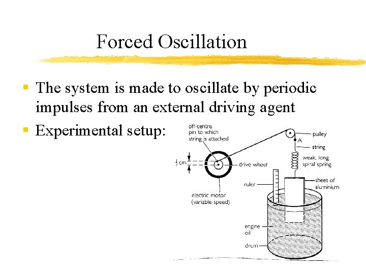 Forced Oscillation § The system is made to oscillate by periodic impulses from an
