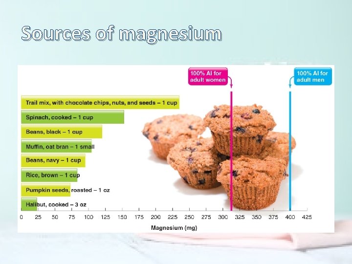 Sources of magnesium 