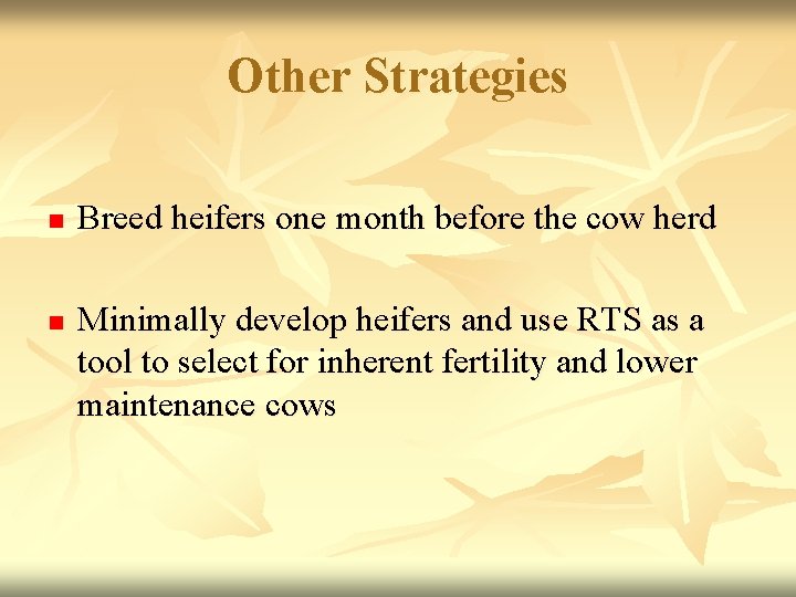 Other Strategies n n Breed heifers one month before the cow herd Minimally develop