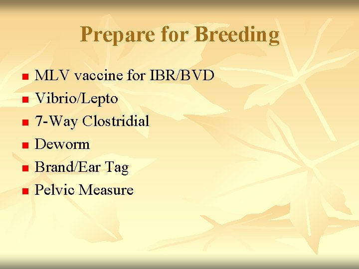 Prepare for Breeding n n n MLV vaccine for IBR/BVD Vibrio/Lepto 7 -Way Clostridial