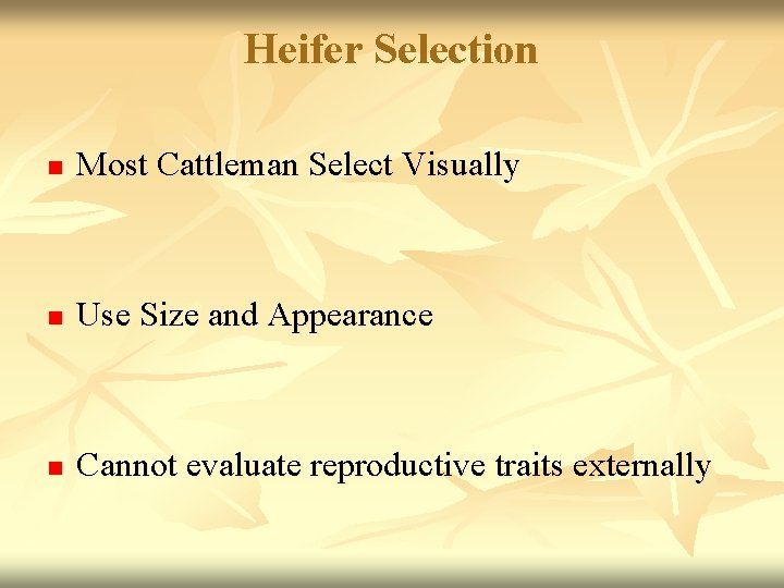 Heifer Selection n Most Cattleman Select Visually n Use Size and Appearance n Cannot