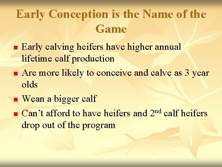 Early Conception is the Name of the Game n n Early calving heifers have