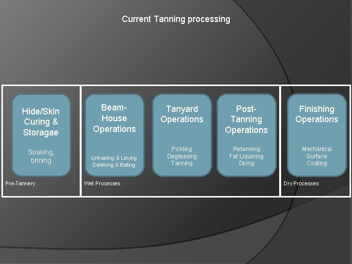 Current Tanning processing Hide/Skin Curing & Storagae Soaking, brining Pre-Tannery Beam. House Operations Unhairing