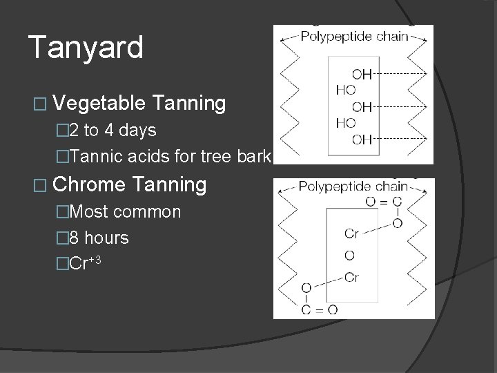 Tanyard � Vegetable Tanning � 2 to 4 days �Tannic acids for tree bark