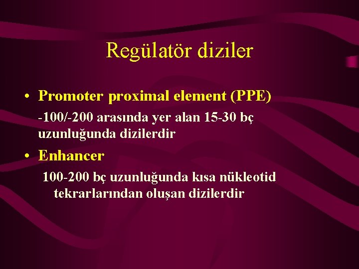 Regülatör diziler • Promoter proximal element (PPE) -100/-200 arasında yer alan 15 -30 bç