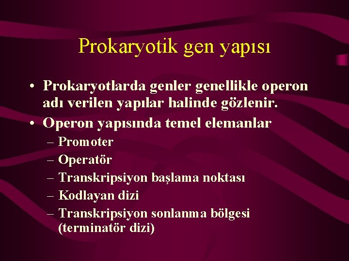 Prokaryotik gen yapısı • Prokaryotlarda genler genellikle operon adı verilen yapılar halinde gözlenir. •