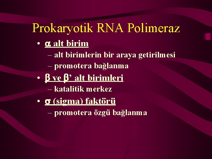 Prokaryotik RNA Polimeraz • alt birim – alt birimlerin bir araya getirilmesi – promotera