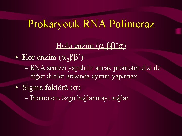 Prokaryotik RNA Polimeraz Holo enzim ( 2 ’ ) • Kor enzim ( 2