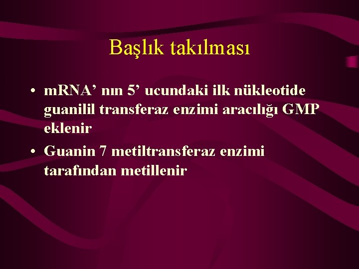 Başlık takılması • m. RNA’ nın 5’ ucundaki ilk nükleotide guanilil transferaz enzimi aracılığı