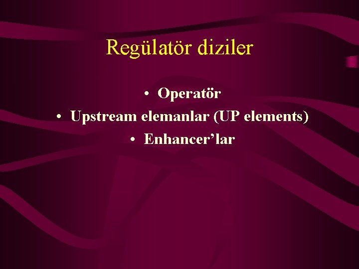 Regülatör diziler • Operatör • Upstream elemanlar (UP elements) • Enhancer’lar 