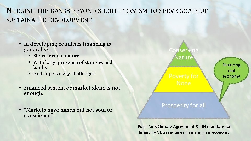 NUDGING THE BANKS BEYOND SHORT-TERMISM TO SERVE GOALS OF SUSTAINABLE DEVELOPMENT • In developing