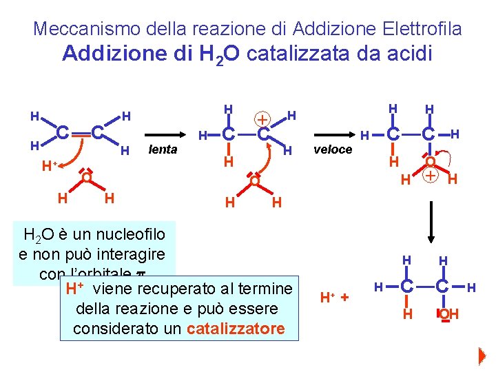 Meccanismo della reazione di Addizione Elettrofila Addizione di H 2 O catalizzata da acidi