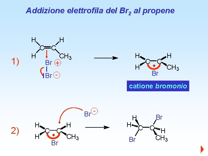 Addizione elettrofila del Br 2 al propene H H C C 1) H H