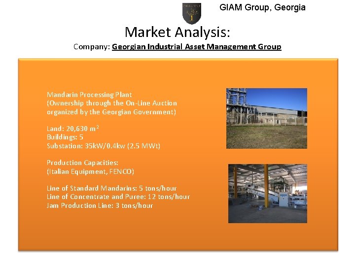 GIAM Group, Georgia Market Analysis: Company: Georgian Industrial Asset Management Group Mandarin Processing Plant