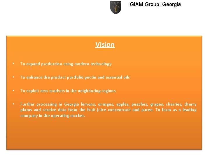 GIAM Group, Georgia Vision • To expand production using modern technology • To enhance