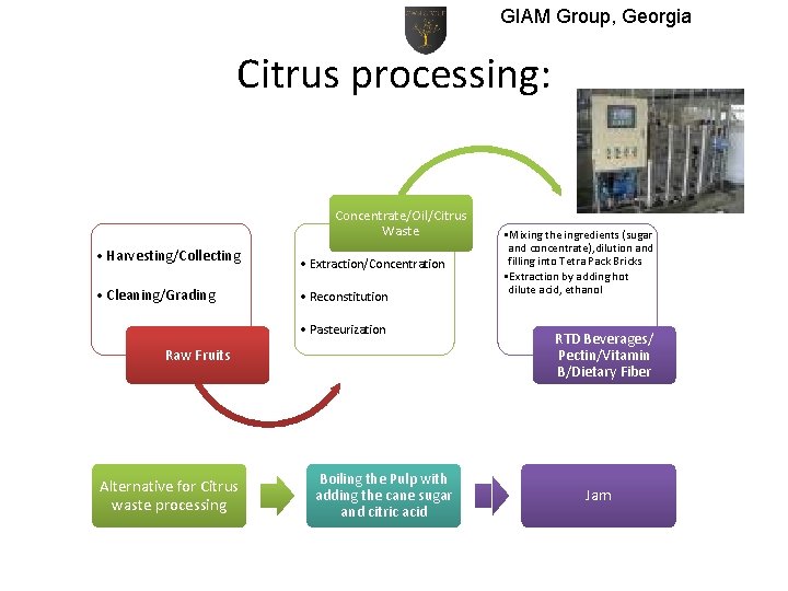 GIAM Group, Georgia Citrus processing: Concentrate/Oil/Citrus Waste • Harvesting/Collecting • Extraction/Concentration • Cleaning/Grading •