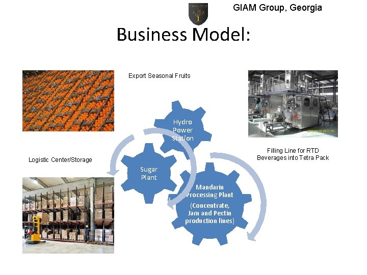 GIAM Group, Georgia Business Model: Export Seasonal Fruits Hydro Power Station Filling Line for