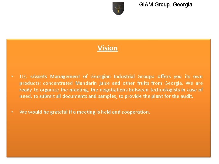 GIAM Group, Georgia Vision • LLC «Assets Management of Georgian Industrial Group» offers you